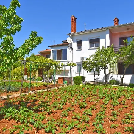 Apartment Fuer 3 Personen Ca 40 Qm In Pula, Istrien Istrische Riviera *
